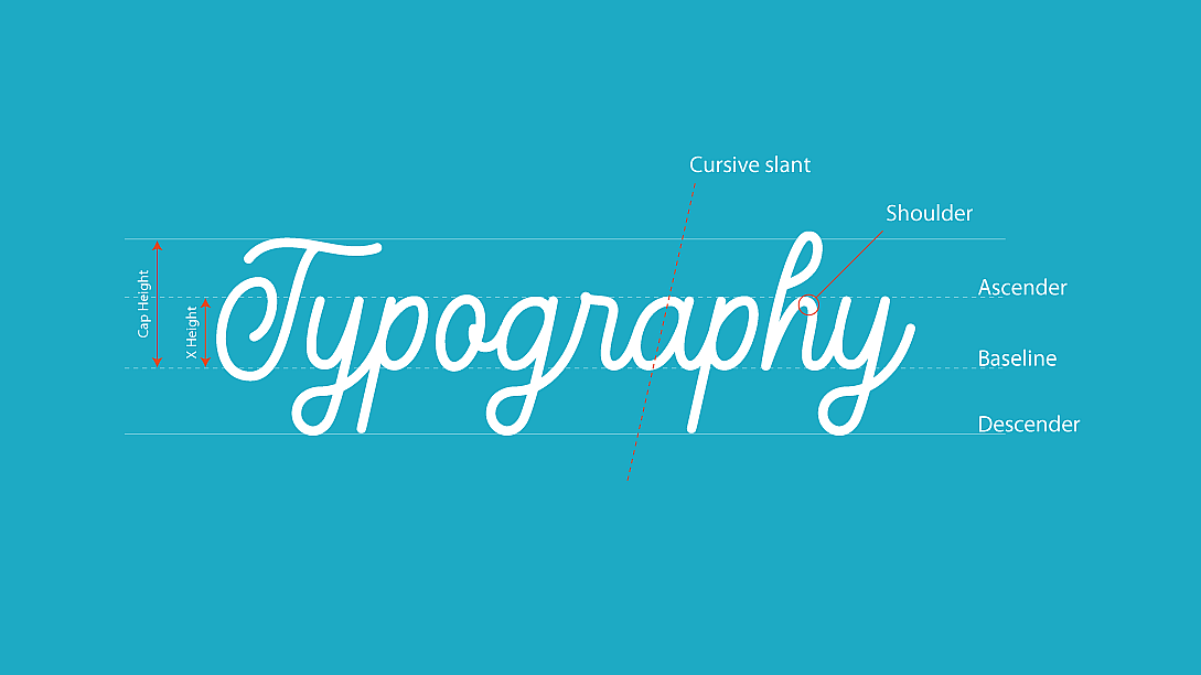 anatomy of script typography