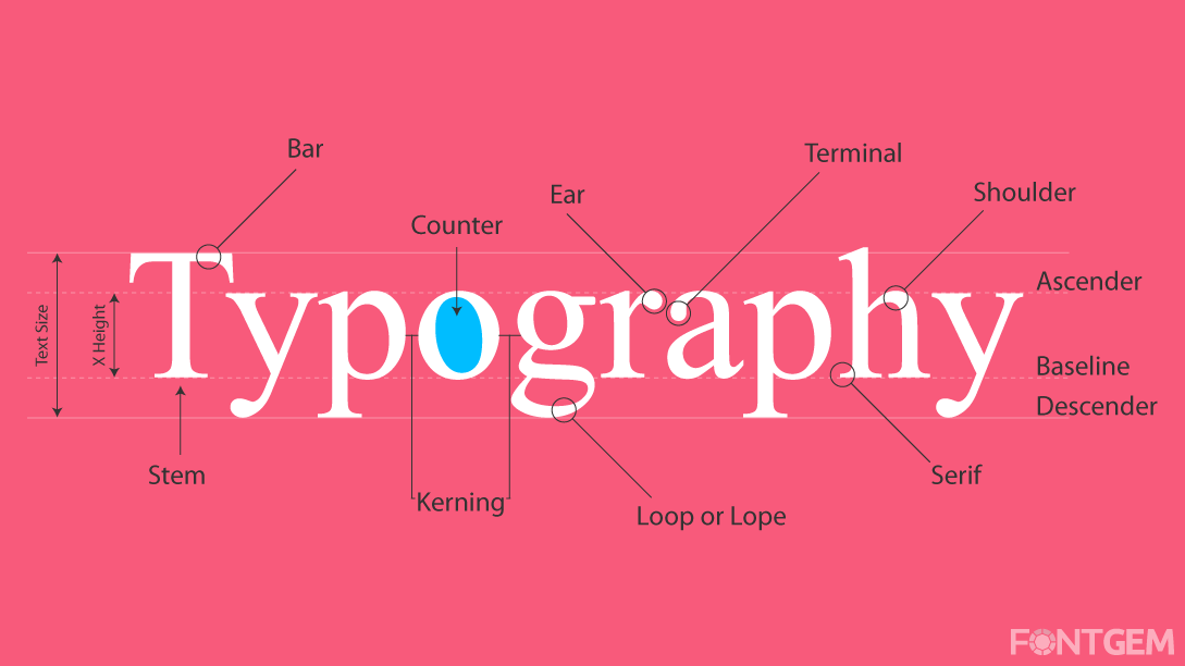typeface anatomy letterforms